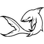 Shark Sticker 146