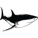 Shark Sticker 148
