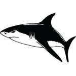 Shark Sticker 151