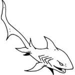 Shark Sticker 173