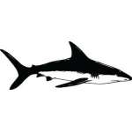 Shark Sticker 204
