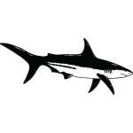 Shark Sticker 226