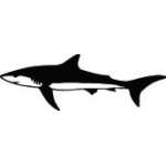 Shark Sticker 229