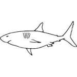 Shark Sticker 230