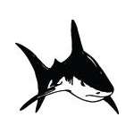 Shark Sticker 234