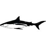 Shark Sticker 239