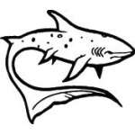 Shark Sticker 246