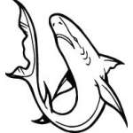 Shark Sticker 254