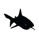 Shark Sticker 255