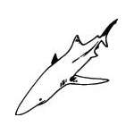 Shark Sticker 259