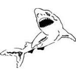 Shark Sticker 260