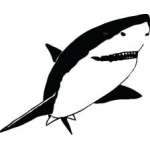 Shark Sticker 273