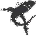Shark Sticker 276