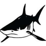 Shark Sticker 295
