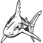 Shark Sticker 296