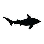 Shark Sticker 303