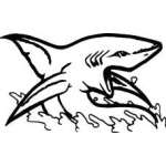 Shark Sticker 305