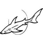 Shark Sticker 308