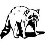 Raccoon 2 Sticker