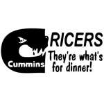 Ricers Theye whats for Dinner