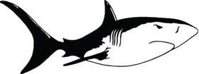 Shark Sticker 128