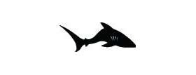 Shark Sticker 279