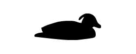 Duck Decoy Stiker