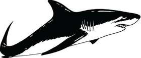 Shark Sticker 191