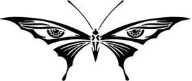 Tribal Butterfly Sticker 41
