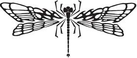 Dragonfly Sticker 11