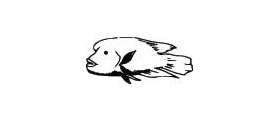 Fish Sticker 251