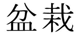 Kanji Symbol, Bonsai
