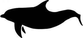 Dolphin Sticker 146