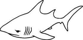 Shark Sticker 24