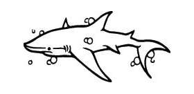 Shark Sticker 5