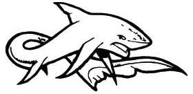 Shark Sticker 108