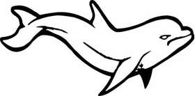 Dolphin Sticker 305