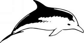 Dolphin Sticker 6