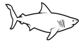 Shark Sticker 56