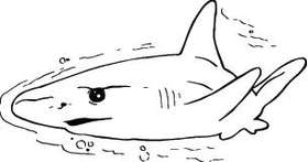 Shark Sticker 286
