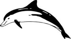 Dolphin Sticker 224