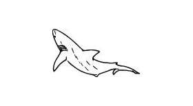 Shark Sticker 281