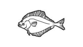 Fish Sticker 620