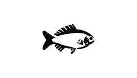 Fish Sticker 113