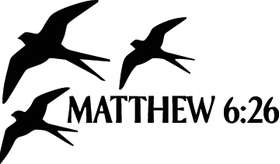 Matthew Sticker 2005