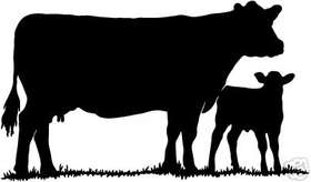 Cow 1 Sticker