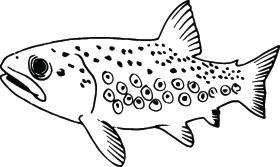 Fish Sticker 250