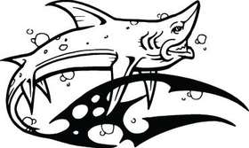 Shark Sticker 9