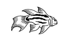 Fish Sticker 404