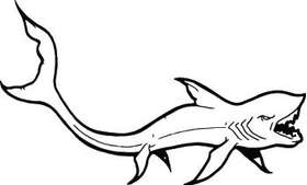 Shark Sticker 198